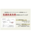 【Sandra 好康好物团购】PRE Order 日本 Lizdays  2way 母亲手提包